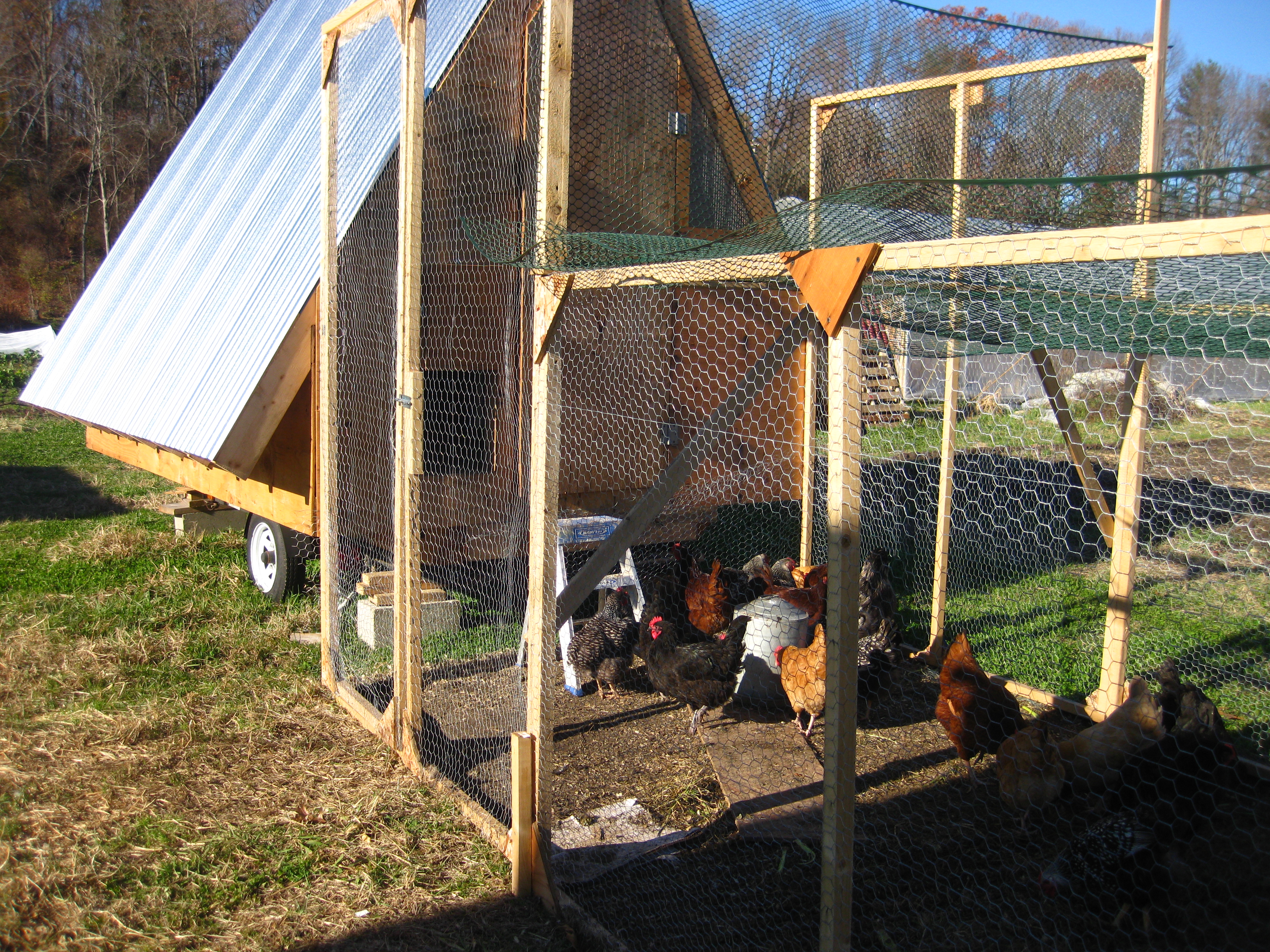 small poultry farm business